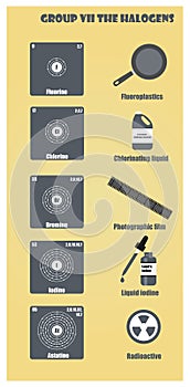 Periodic Table of element group VII The halogens photo