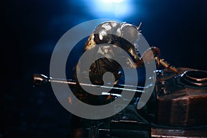 Periostracum cicadae and model