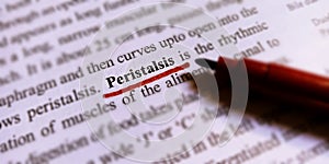 peristalsis biological word displayed on white page with red colour underline text