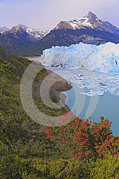 Perito Moreno Glacier in El Calafate, Patagonia of Argentina