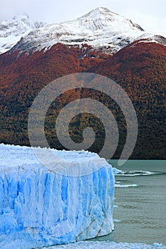 Perito Moreno Glacier in Lake Argentino with Snowcapped Mountains in the Backdrop, Patagonia, Argentina, South America
