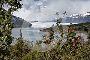 Perito Moreno Glacier, Patagonia, Argentina