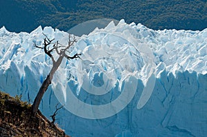 Perito Moreno Glacier, Patagonia, Argentina