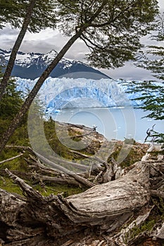 Perito Moreno Glacier - Patagonia - Argentina