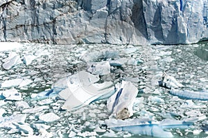 Perito Moreno glacier, southern Patagonia, Argentina, South America