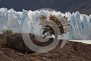 Perito Moreno photo