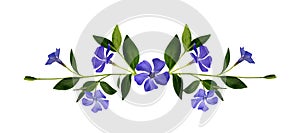 Periwinkle flowers composition