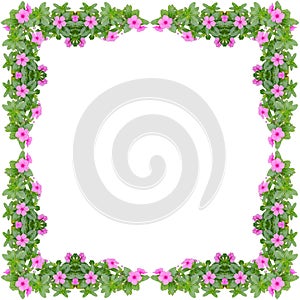 Periwinkle frame