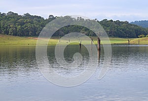 Periyar Lake Full of Water, Thekkady, Kerala, India