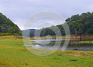 Periyar Lake with Greenery and Forest in Rainy Season - Idukki, Kerala, India - Natural Background