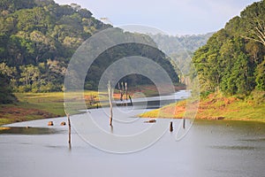 Periyar Lake and National Park, Thekkady, Kerala, India