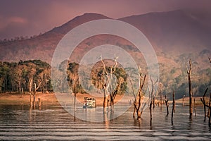 Periyar National Reserve photo