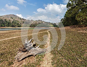 Periyar wildlife sanctuary, India