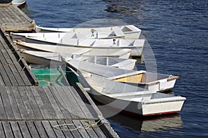 Perkins Cove Boats