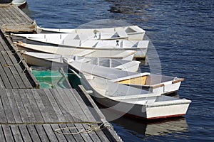 Perkins Cove Boats photo