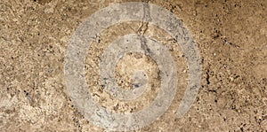 Perla classic travertine texture background