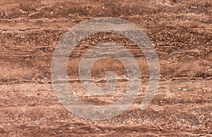 Perla classic travertine texture background