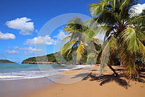 Perle Beach in Guadeloupe