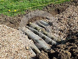 Permaculture trench with wood logs and shredded wood and grass in background photo