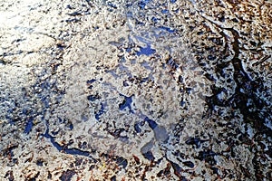 Permafrost. Melting ice in the Arctic in spring. Dirty ice. Ecological pollution photo