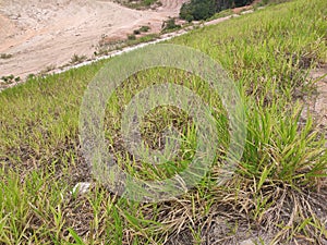 Permanent slope protection using the close turfing method to prevent erosion.