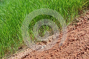 Permanent slope protection using the close turfing method to prevent erosion.