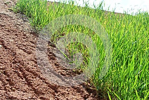 Permanent slope protection using the close turfing method to prevent erosion.