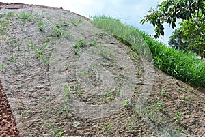 Permanent slope protection using the close turfing method to prevent erosion.