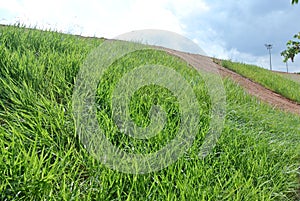 Permanent slope protection using the close turfing method to prevent erosion.