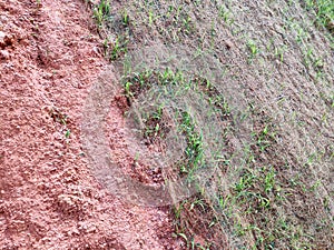 Permanent slope protection using the close turfing method to prevent erosion.