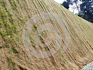 Permanent slope protection using the close turfing method to prevent erosion.