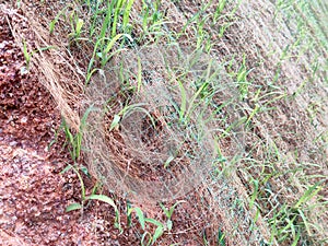 Permanent slope protection using the close turfing method to prevent erosion.