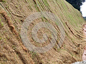 Permanent slope protection using the close turfing method to prevent erosion.