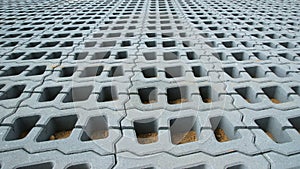 Permeable Pavers (Lawn grid)