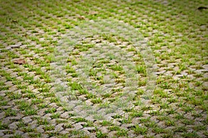 Permeable Pavers on a square