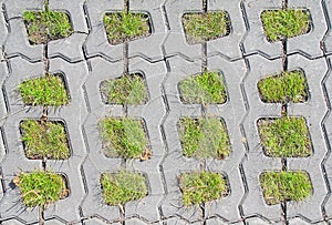 Permeable Pavers