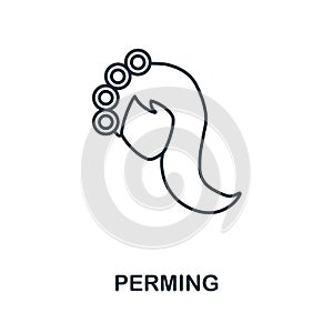 Perming icon. Line element from hairdresser collection. Linear Perming icon sign for web design, infographics and more. photo