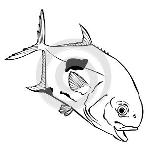 Permit Illustration