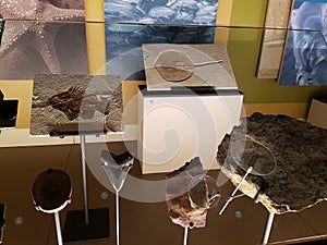 Perot Museum, Dallas