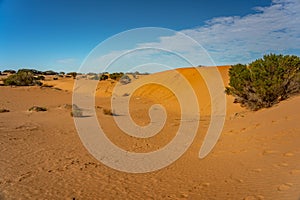 Perry Sandhills dunes in NSW, Australia