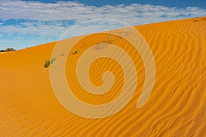 Perry Sandhills dunes in NSW, Australia photo