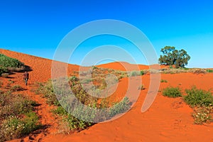 Perry Sandhills at Wentworth, New South Wales in Australia are a relic from prehistoric times