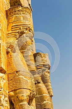 Persepolis Lamassu statues