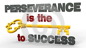 Perseverance is the key to success