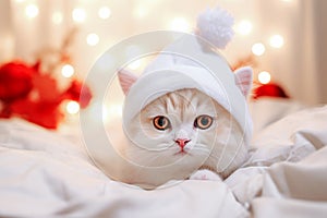 Persian cat in Santa hat on bed at Christmas time. Selective focus