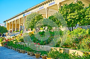 The Persian gardens of Shiraz, Iran