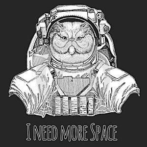 Persian longhair cat. Wild animal wearing space suit. Pet portait. Animal head. Kitty face.