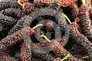 Persian mulberries photo