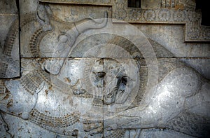 Persian ruins, Persepolis, Iran