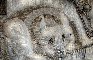 Persian ruins, Persepolis, Iran